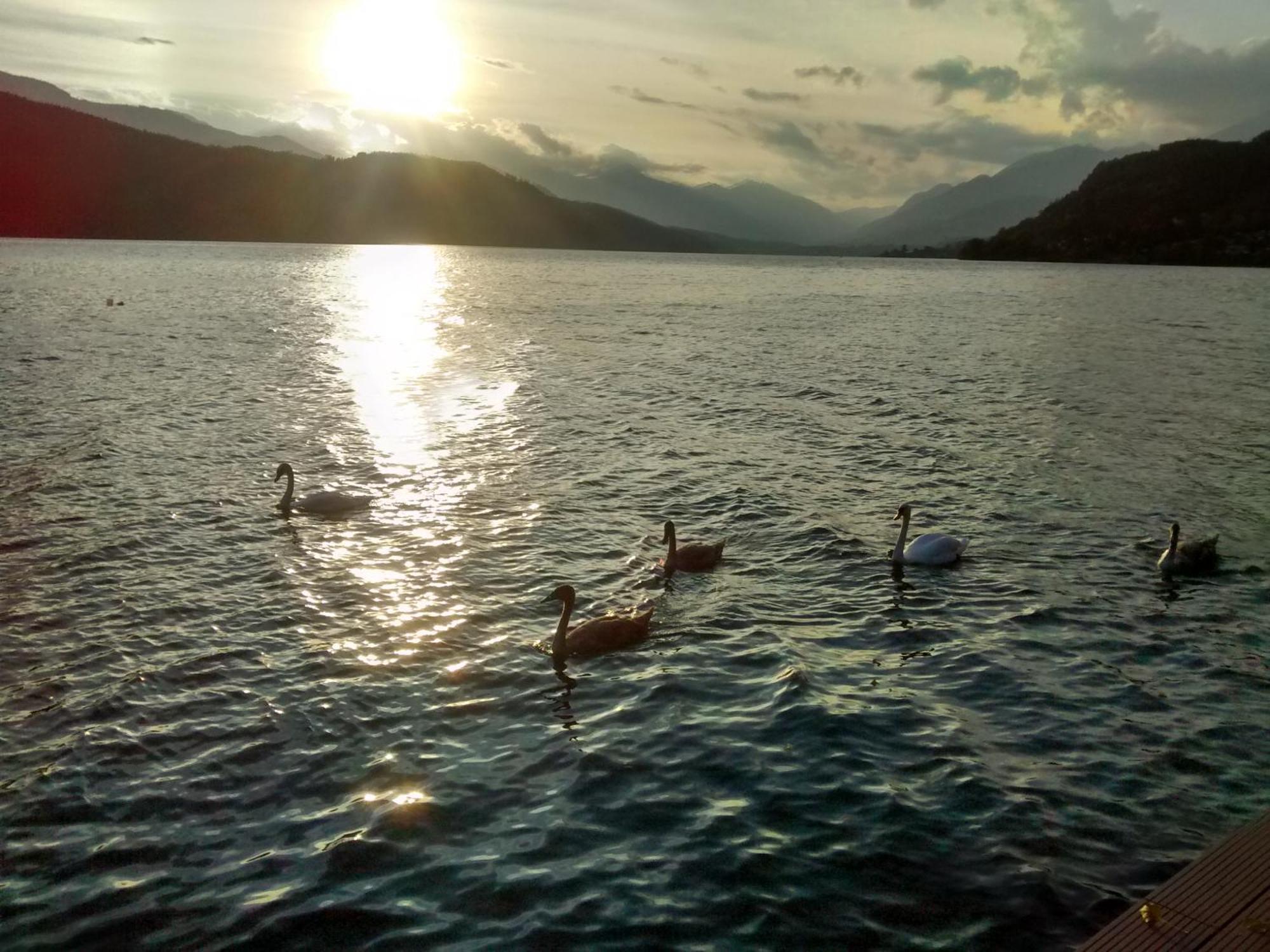 Ferienwohnungen Fischerhaus - Direkt Am See Millstatt Luaran gambar