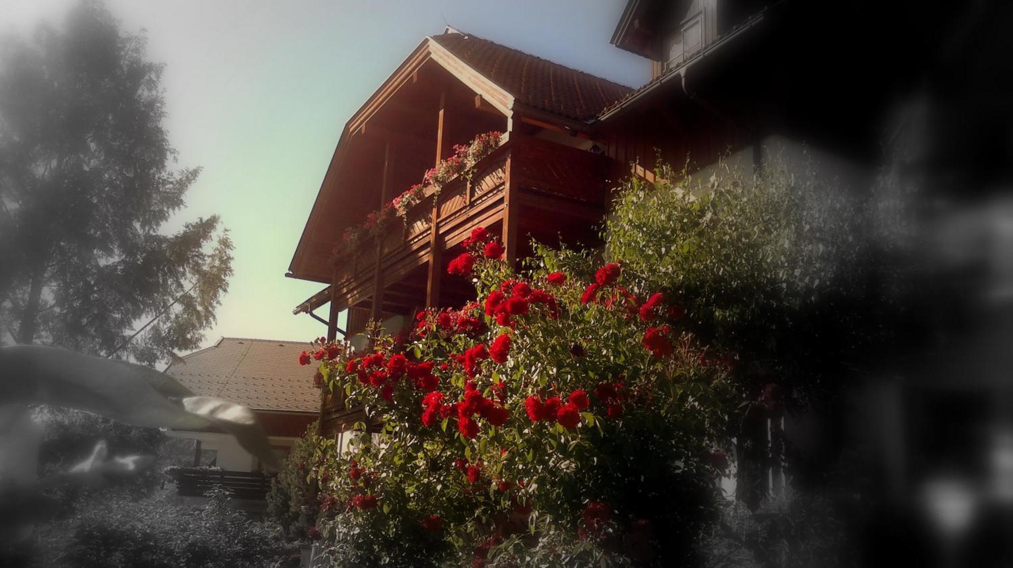 Ferienwohnungen Fischerhaus - Direkt Am See Millstatt Luaran gambar
