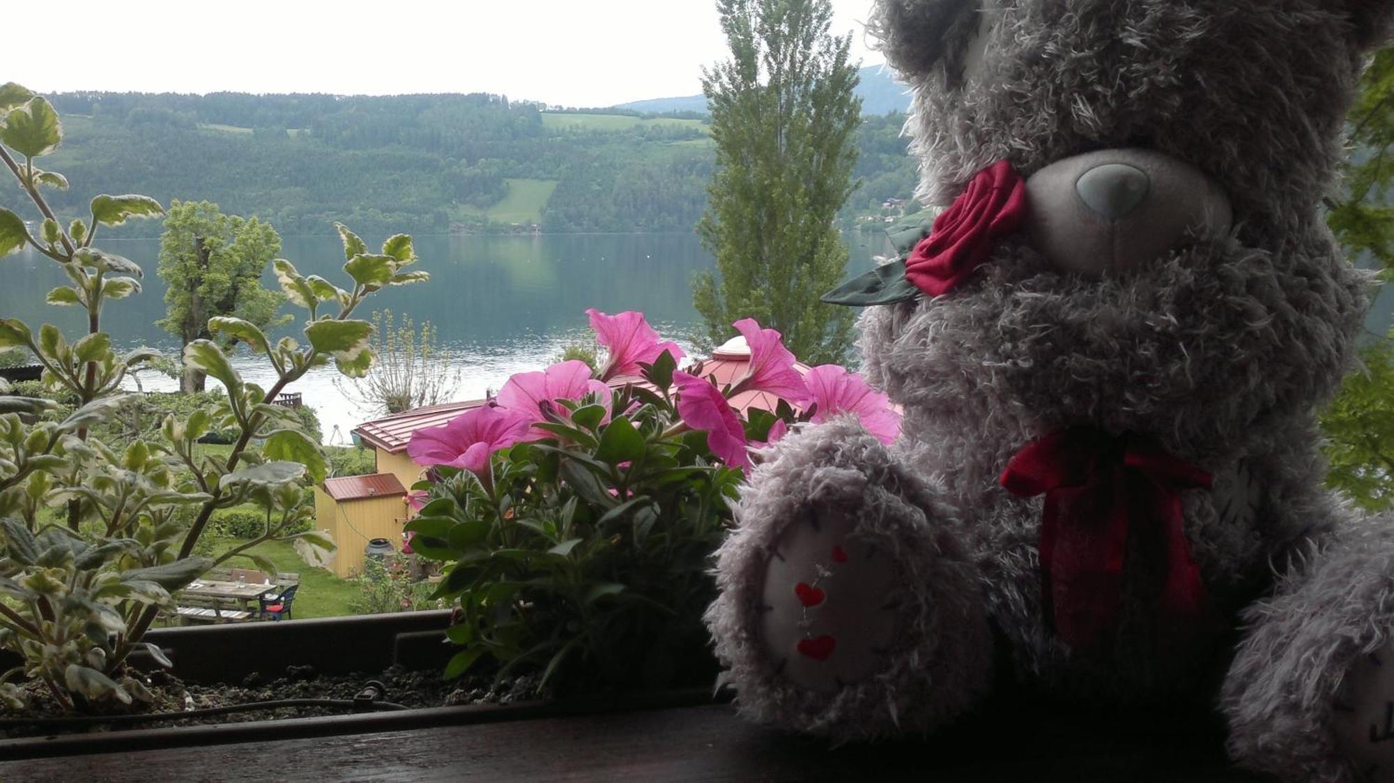 Ferienwohnungen Fischerhaus - Direkt Am See Millstatt Luaran gambar