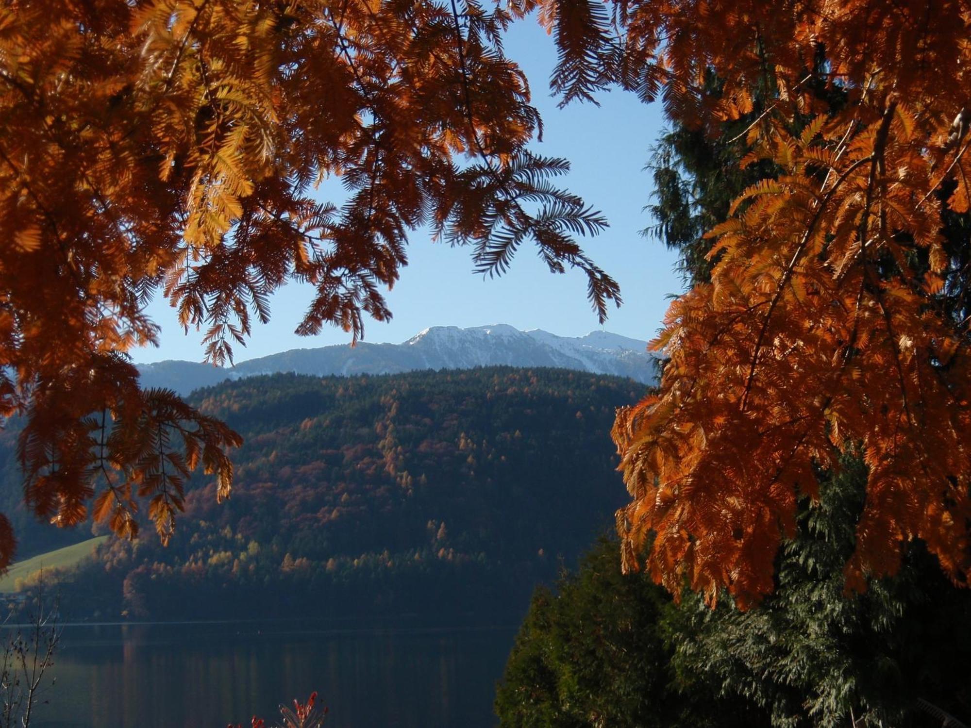 Ferienwohnungen Fischerhaus - Direkt Am See Millstatt Luaran gambar